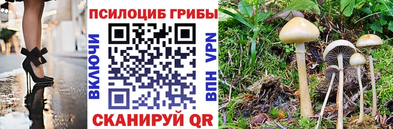 KRAKEN маркетплейс  Гусь-Хрустальный  Галлюциногенные грибы ЛСД 