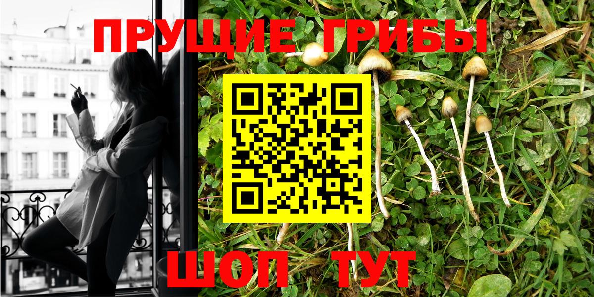 Псилоцибиновые грибы мухоморы Гусь-Хрустальный