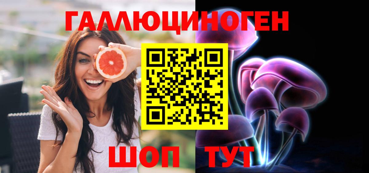 Псилоцибиновые грибы Psilocybe  Вход с VPN  закладки  Гусь-Хрустальный 