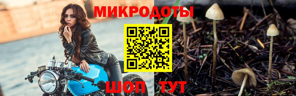 Галлюциногенные грибы мицелий Гусь-Хрустальный