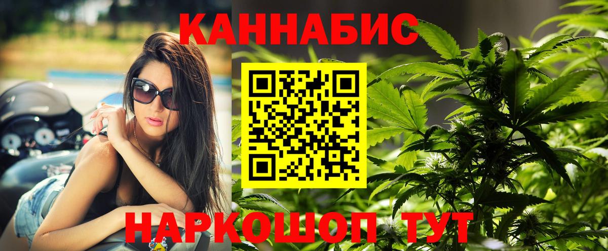 Бошки марихуана сатива Гусь-Хрустальный